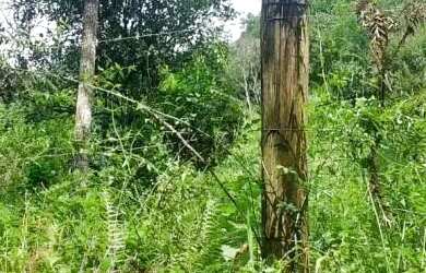 Imagem 14: Sítio bairro São Jacó, Nova Petrópolis.RS Ref. 159