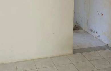 Imagem 10: Apartamento amplo para alugar no caminho de areia