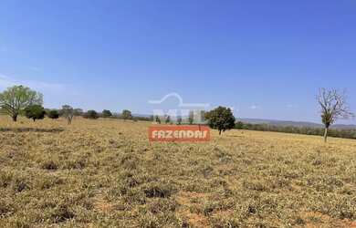 Imagem 4: Fazenda 147,3 alqueires 713 hectares Bom Jardim de Goiás