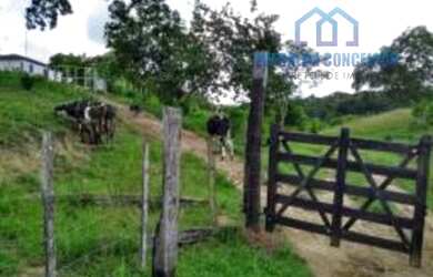 Imagem 9: Itapé - Fazenda -. 40m² de Área