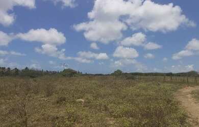 Imagem 16: Fazenda em Manimbu Tibau do Sul - Tibau do Sul