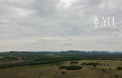 Imagem 7: Fazenda no Município do Peixe-Tocantins, toda formada em pastagem, com...