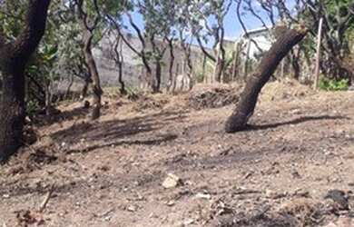 Imagem 5: Terreno à venda no Jardim Diana em Várzea Paulista