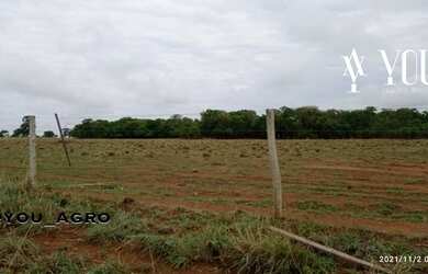 Imagem 9: Fazenda no Município do Peixe-Tocantins, toda formada em pastagem, com...