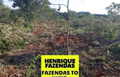 Imagem 1: Fazenda de 274 alqueires plana a 55 mil por alqueires no Tocantins