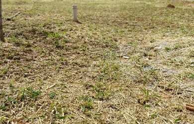 Imagem 4: Lote à venda, Condomínio Residencial Euroville - Bragança Paulista/SP