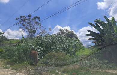 Imagem 4: Chacara. 27.000m² de Área