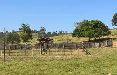 Imagem 2: Fazenda 302 alq. Em são Luiz Goiás e Ivolândia, valor 75 milhões