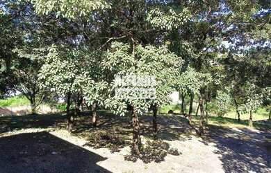 Imagem: O terreno possui 1000m² de Área e está localizado em Tropical