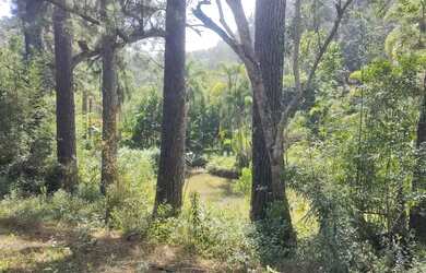 Imagem 6: 4 hectares lagoa casarão 3 km do centro