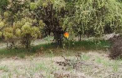 Imagem 10: Lote - Condomínio Paragem Do Tripui