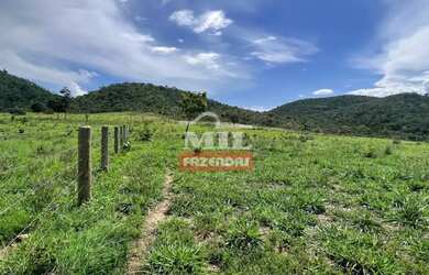 Imagem: A fazenda possui 500m² de Área e está localizado em Uruaçu