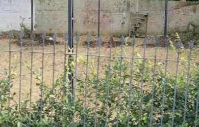 Imagem: O terreno possui 400m² de Área e está localizado em Tingui