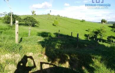 Imagem 5: Itapé - Fazenda -. 40m² de Área