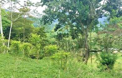 Imagem 14: Terreno para Venda em Rio de Janeiro, Ilha de Guaratiba