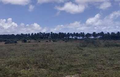 Imagem 11: Fazenda em Manimbu Tibau do Sul - Tibau do Sul