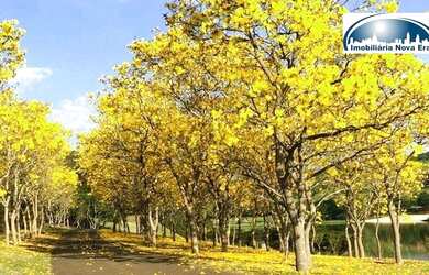 Imagem 15: Terreno à venda, 3100 m² por R$ 4.650.000,00 - Quinta da Baroneza -...