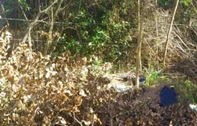 Imagem 5: Terreno à venda, 1000 m² por R$ 320.000,00 - Marina - Armação dos...