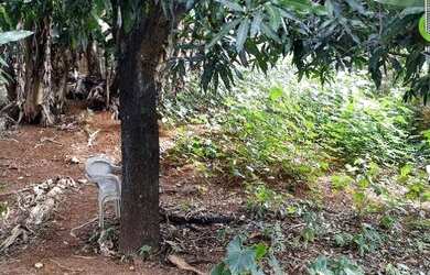 Imagem 2: Terreno à venda, 205 m² por R$ 70.000,00 - Caixa D Água - Salvador/BA