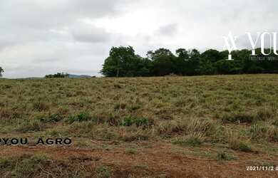 Imagem 4: Fazenda no Município do Peixe-Tocantins, toda formada em pastagem, com...