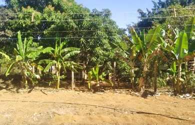 Imagem: A chácara possui 5.000m² de Área e está localizado em Taguatinga