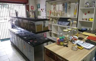 Imagem 6: Pet Shop. 35m² de Áreae2 Vagas na garagem