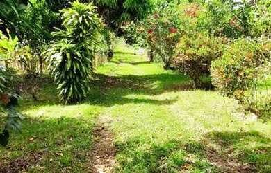 Imagem: A fazenda possui 490.000m² de Área e está localizado em