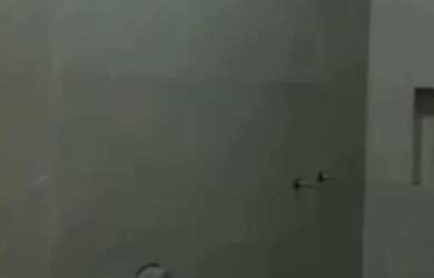 Imagem 2: Alto Padrão Jardim Palmeiras/Financia