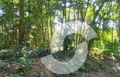 Imagem 3: Terreno à venda, 775 m² por R$ 160.000,00 - Pendotiba - Niterói/RJ