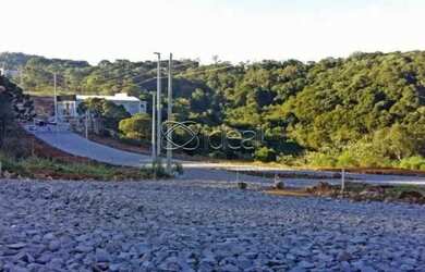 Imagem 9: OTIMO TERRENO PRONTO PARA CONSTRUIR -CAXIAS DO SUL