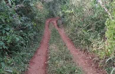 Imagem 9: Sítio / Chácara para Venda em Nova Petrópolis, Linha Olinda