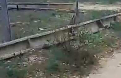 Imagem: A chácara possui 896m² de Área e está localizado em Piracanjuba