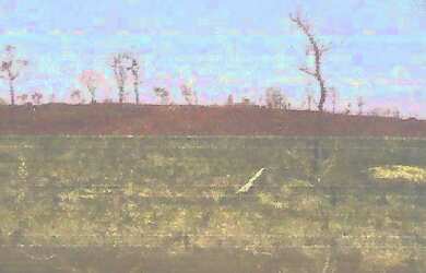 Imagem: O terreno e está localizado em São Brás do Suaçuí, MG à