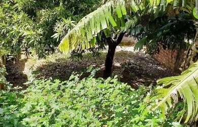 Imagem 3: Terreno à venda, 205 m² por R$ 70.000,00 - Caixa D Água - Salvador/BA