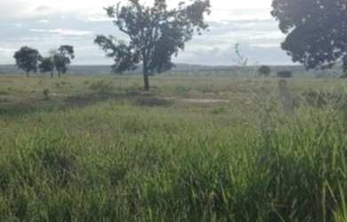 Imagem: A fazenda possui 42m² de Área e está localizado em Colniza