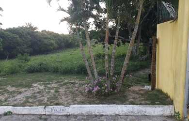 Imagem: O terreno possui 10.000m² de Área e está localizado em Busca