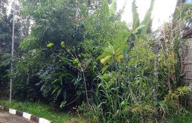 Imagem 7: TERRENO RESIDENCIAL em SALVADOR - BA, PATAMARES