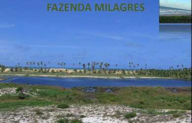 Imagem: A fazenda possui 162.915m² de Área e está localizado em