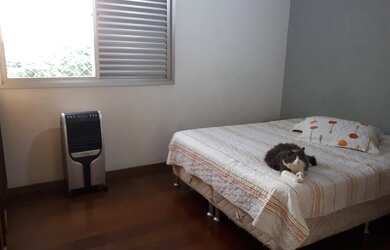 Imagem 6: UMA DAS MELHORES LOCALIZAÇÕES DO BAIRRO, RUA PLANA