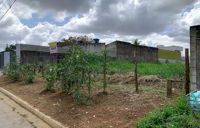 Imagem 2: TERRENO JARDIM HELVECIA APARECIDA DE GOIÂNIA