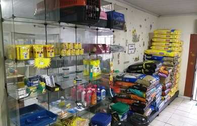 Imagem 7: Pet Shop. 35m² de Áreae2 Vagas na garagem