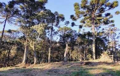 Imagem: A chácara à venda possui e está localizado em Urubici, SC