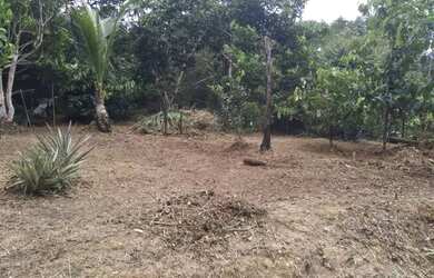 Imagem 3: Vende- se um terreno. 