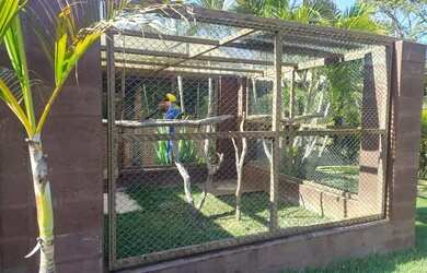 Imagem 3: Entre Rios de Minas - Linda Fazenda - R$2.500.000,00 - 12 Hectares