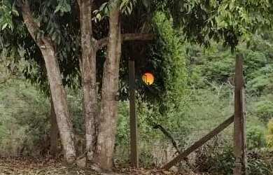 Imagem 12: Lote - Condomínio Paragem Do Tripui