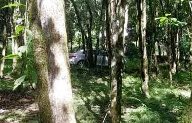 Imagem 13: Sítio bairro São Jacó, Nova Petrópolis.RS Ref. 159