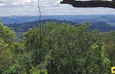 Imagem 13: Sítio / Chácara para Venda em Nova Petrópolis, Linha Imperial