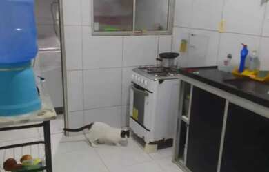 Imagem 4: JA CASA A VENDA EM SÃO DIOGO