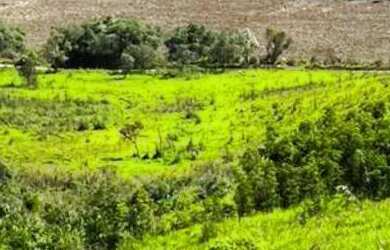 Imagem 5: QUEM CHEGA PRIMEIRO GARANTE OS MELHORES LOTES CLIQUE AGORA E AGENDE SUA...