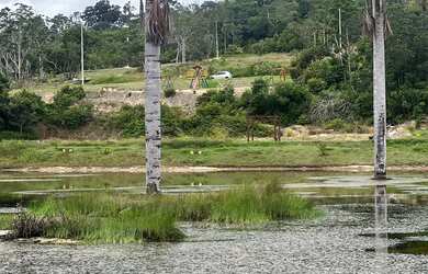 Imagem 2: NA PROMOÇÃO SITIO 1000m2